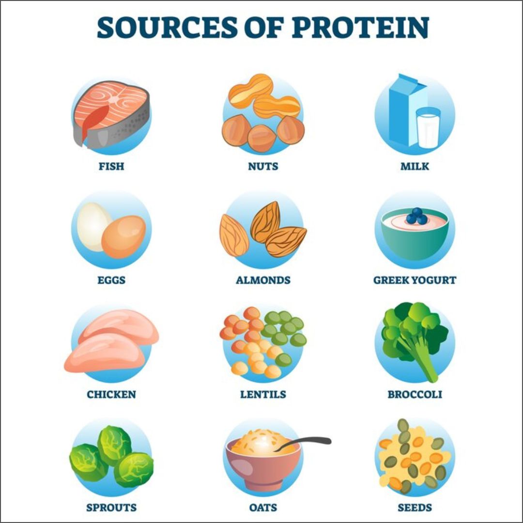 Protein Foods for Weight Loss